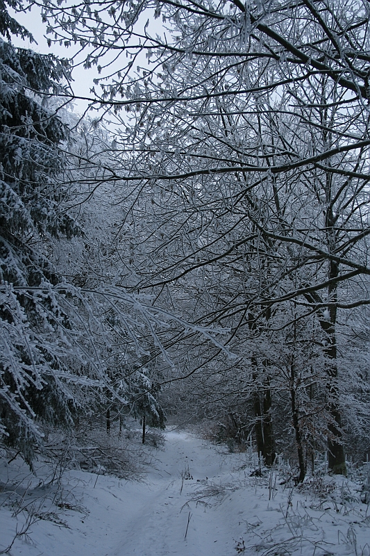 Bieszczady 12.2007 049